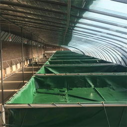 防漏水篷布魚池 pvc帆布水池圖片可移動帆布魚池綠色儲水池廠家